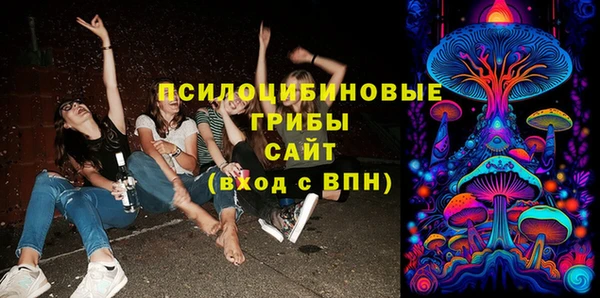 шишки Баксан