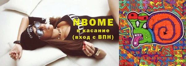 шишки Баксан