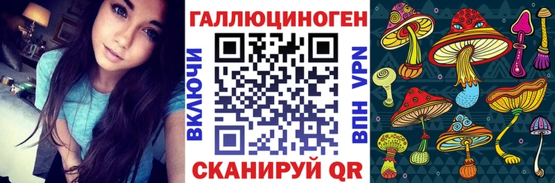 OMG как войти  наркотики  Тотьма  Галлюциногенные грибы Psilocybine cubensis 
